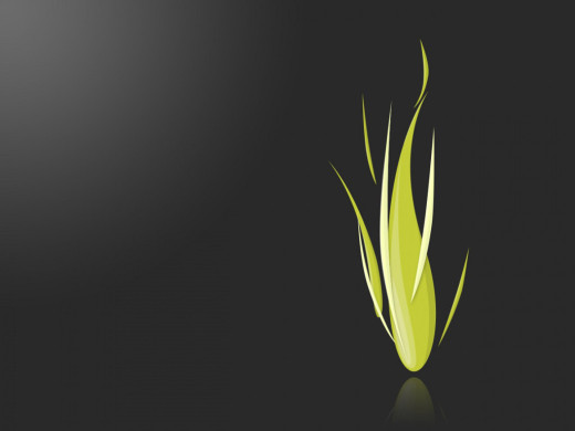 384065 (a): :1024x768